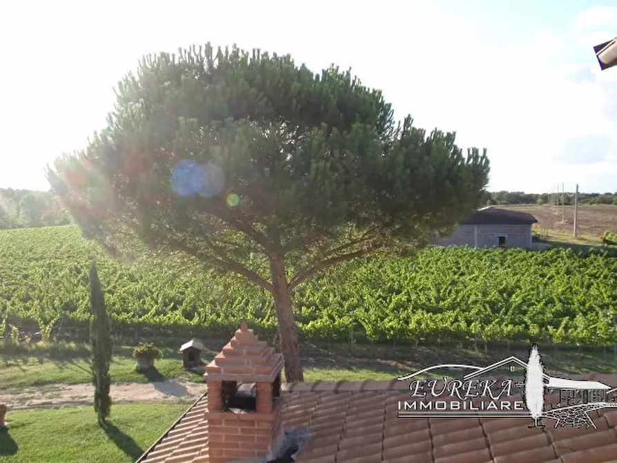 Immagine 30 di Terreno in vendita  a Castiglione Del Lago