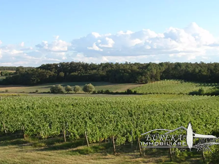 Immagine 31 di Terreno in vendita  a Castiglione Del Lago