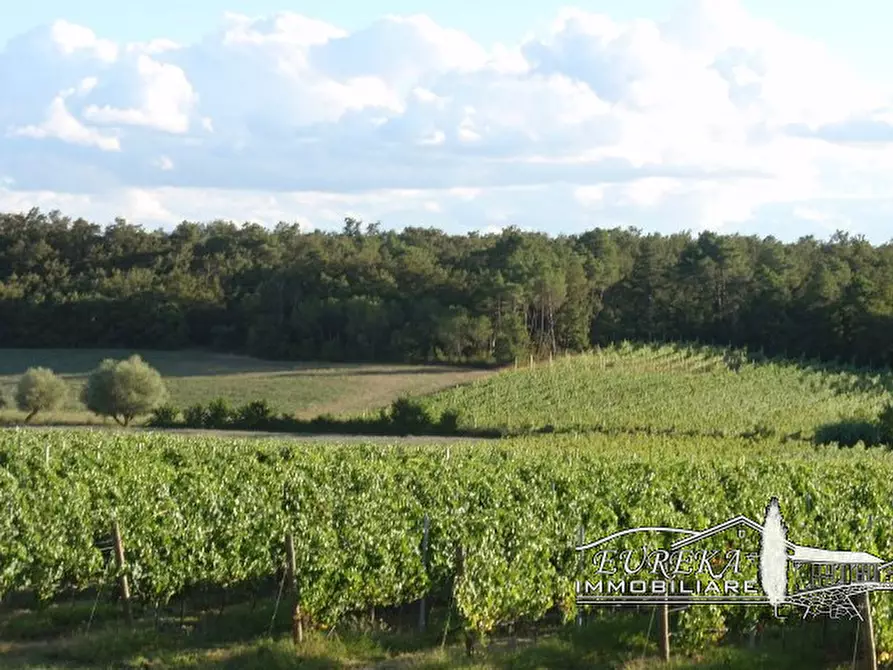 Immagine 32 di Terreno in vendita  a Castiglione Del Lago