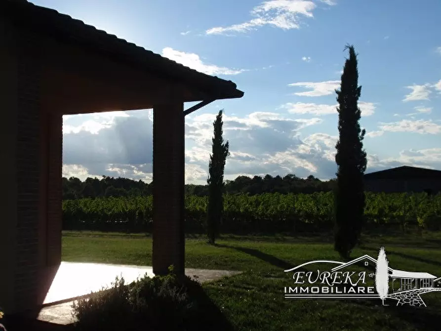 Immagine 34 di Terreno in vendita  a Castiglione Del Lago