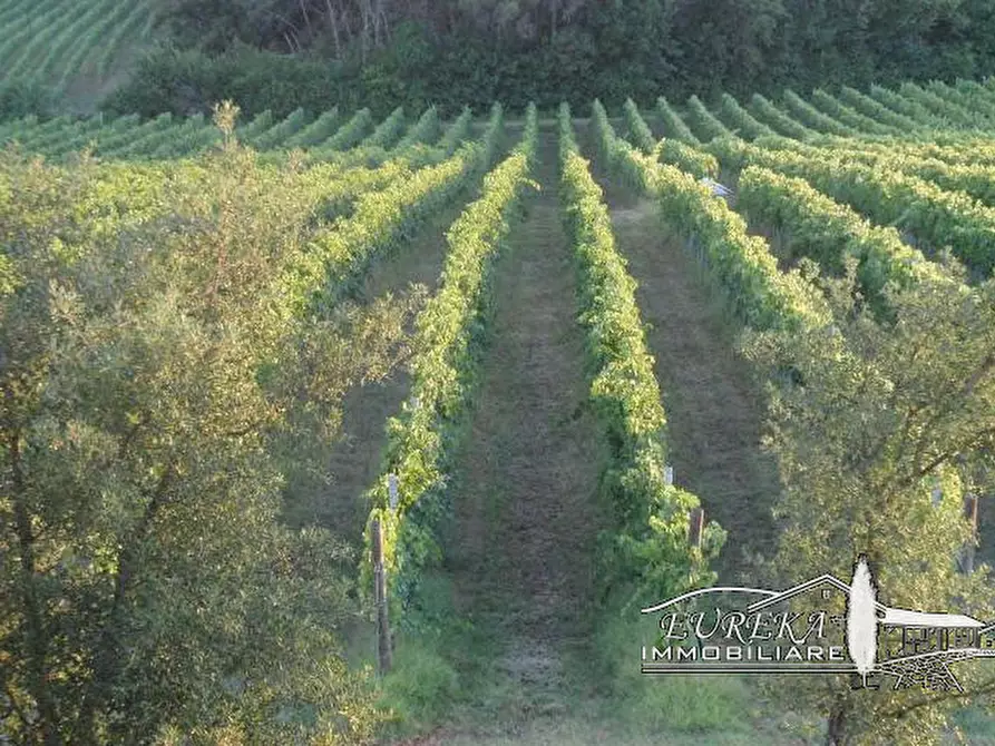 Immagine 42 di Terreno in vendita  a Castiglione Del Lago