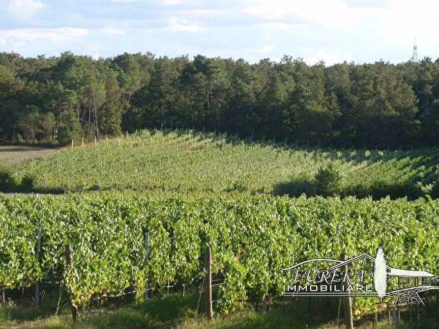 Immagine 46 di Terreno in vendita  a Castiglione Del Lago
