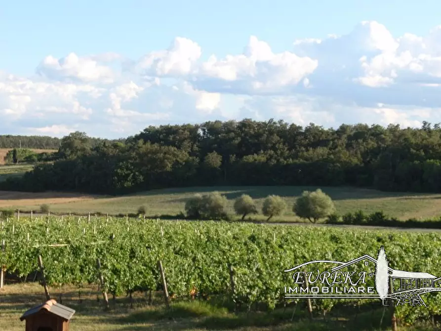 Immagine 47 di Terreno in vendita  a Castiglione Del Lago