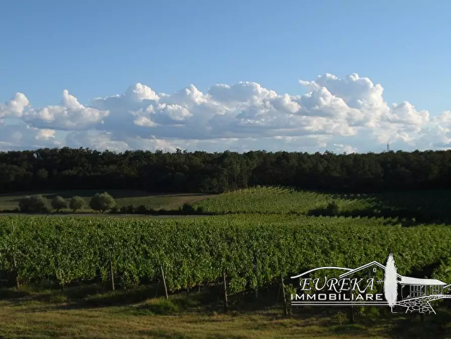 Immagine 48 di Terreno in vendita  a Castiglione Del Lago