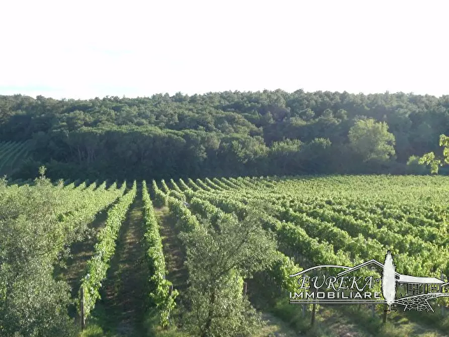 Immagine 50 di Terreno in vendita  a Castiglione Del Lago