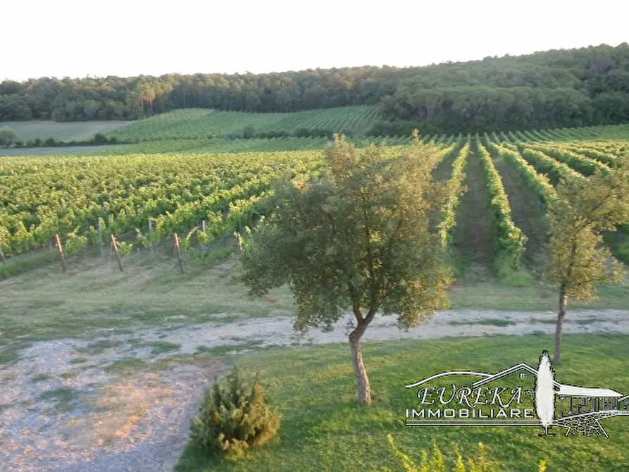 Immagine 53 di Terreno in vendita  a Castiglione Del Lago