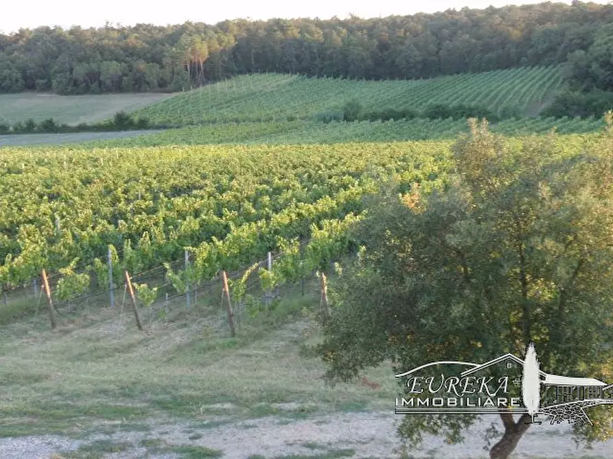Immagine 54 di Terreno in vendita  a Castiglione Del Lago