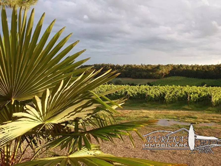 Immagine 56 di Terreno in vendita  a Castiglione Del Lago