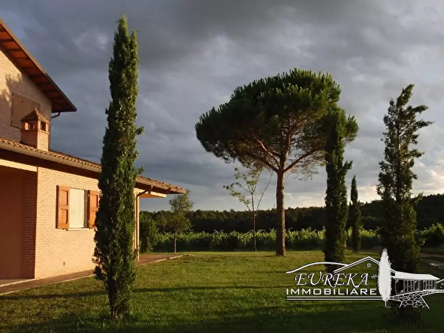 Immagine 61 di Terreno in vendita  a Castiglione Del Lago