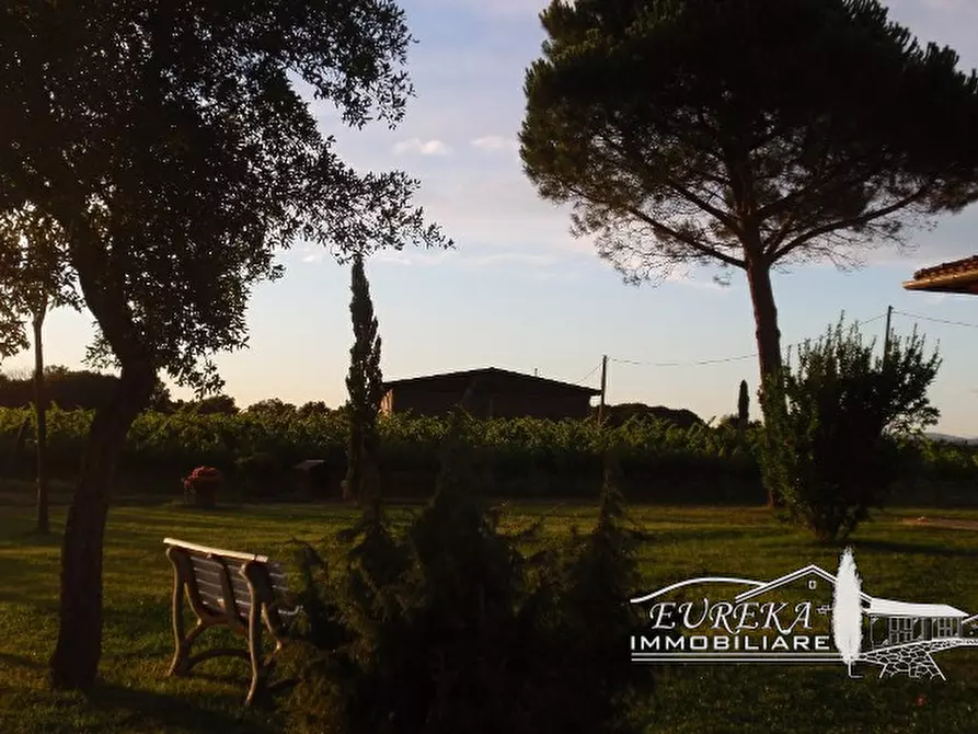 Immagine 67 di Terreno in vendita  a Castiglione Del Lago