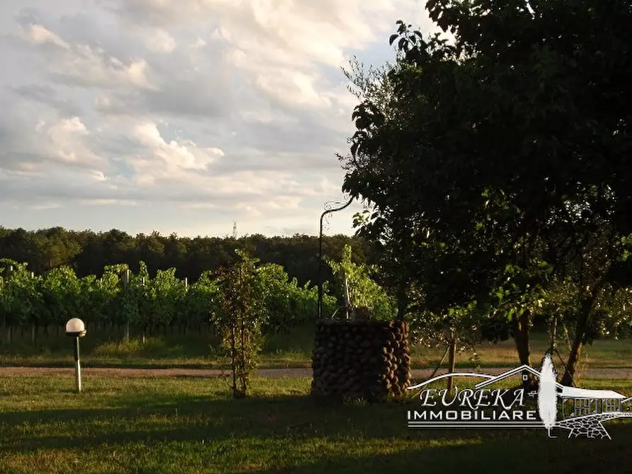 Immagine 68 di Terreno in vendita  a Castiglione Del Lago