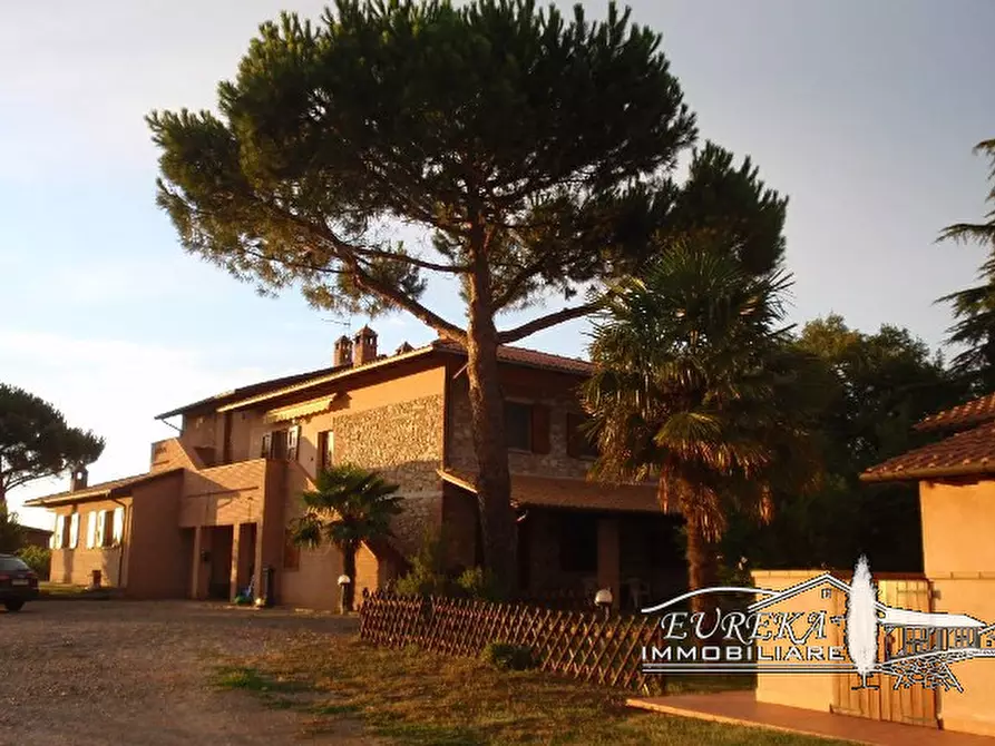 Immagine 71 di Terreno in vendita  a Castiglione Del Lago