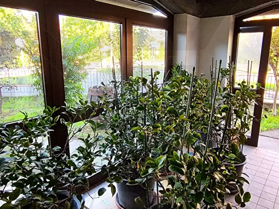 Immagine 4 di Villa in vendita  in via toscanini 27 a Bagnacavallo