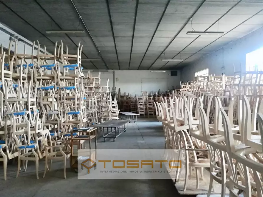 Immagine 4 di Capannone industriale in affitto  a San Pietro Di Morubio