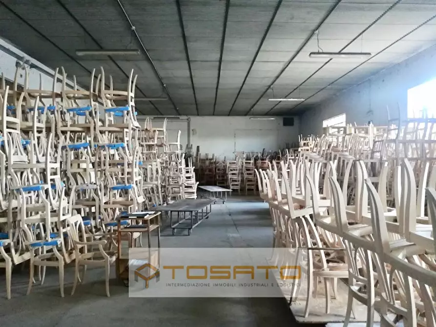 Immagine 6 di Capannone industriale in affitto  a San Pietro Di Morubio