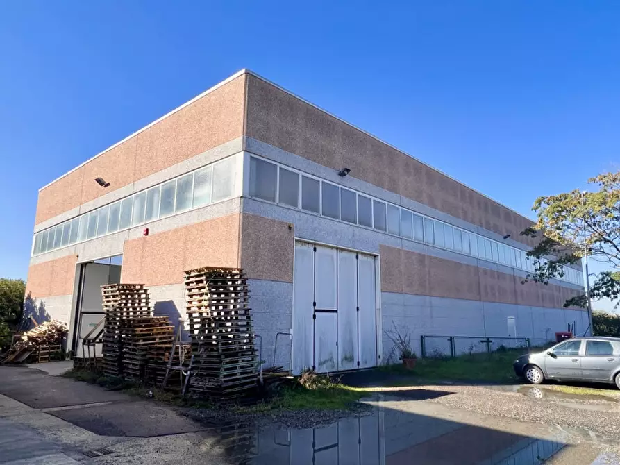 Immagine 2 di Capannone industriale in vendita  in via Monteverdi 42 a Busseto
