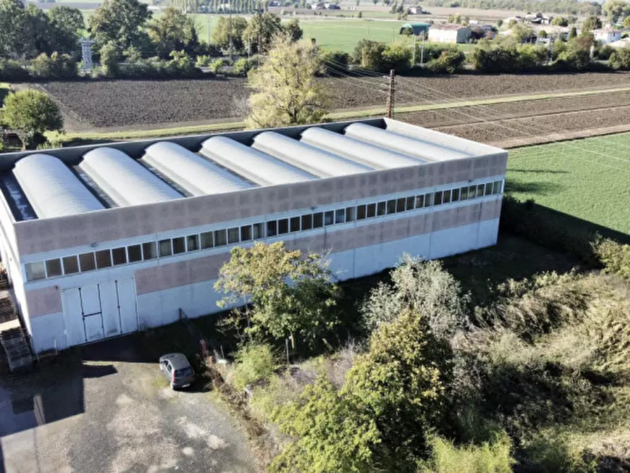 Immagine 4 di Capannone industriale in vendita  in via Monteverdi 42 a Busseto