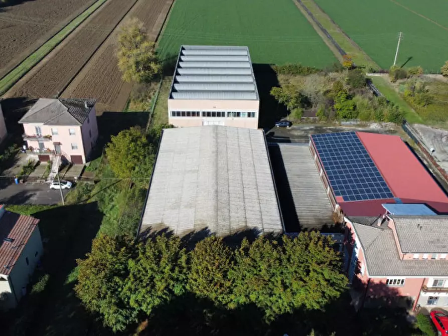 Immagine 6 di Capannone industriale in vendita  in via Monteverdi 42 a Busseto