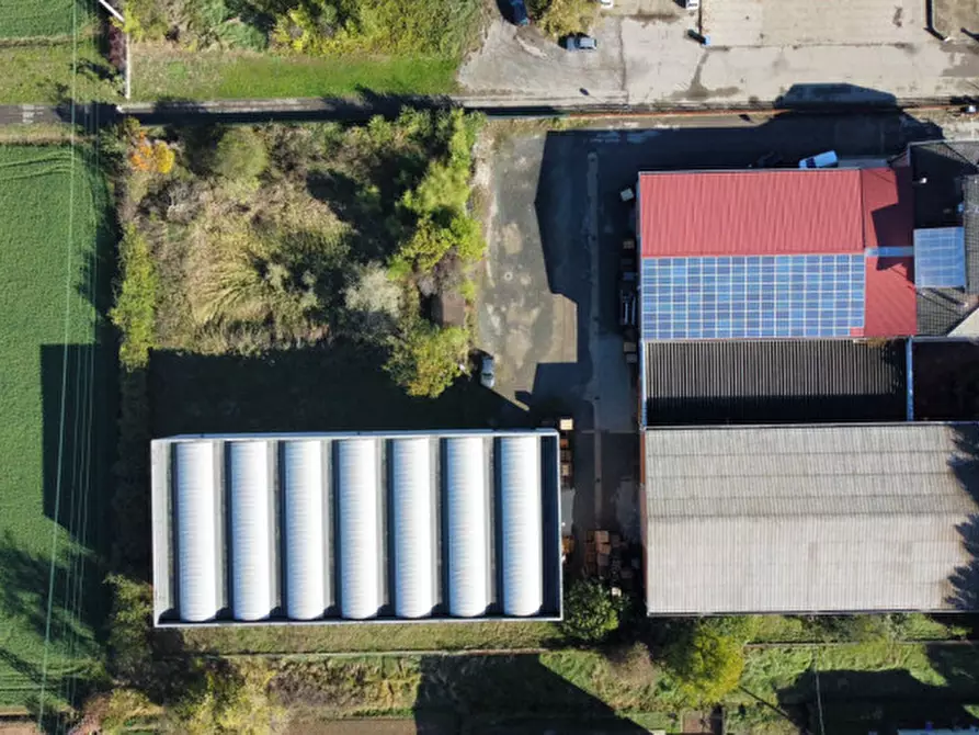 Immagine 7 di Capannone industriale in vendita  in via Monteverdi 42 a Busseto