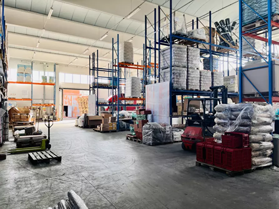 Immagine 10 di Capannone industriale in vendita  in via Monteverdi 42 a Busseto