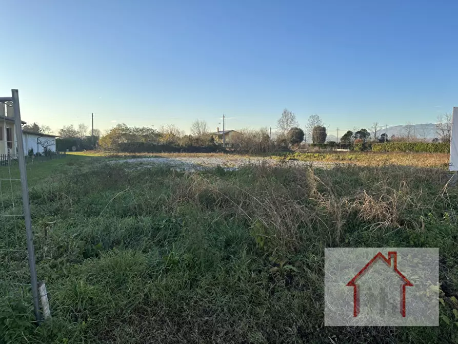 Immagine 4 di Terreno in vendita  a Arcade