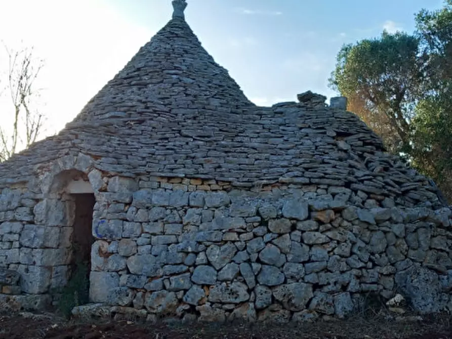 Immagine 2 di Rustico / casale in vendita  in C.da Barone a Ceglie Messapico