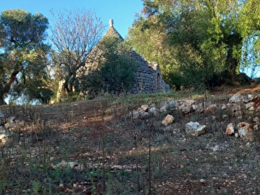 Immagine 3 di Rustico / casale in vendita  in C.da Barone a Ceglie Messapico