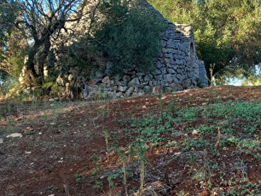 Immagine 4 di Rustico / casale in vendita  in C.da Barone a Ceglie Messapico