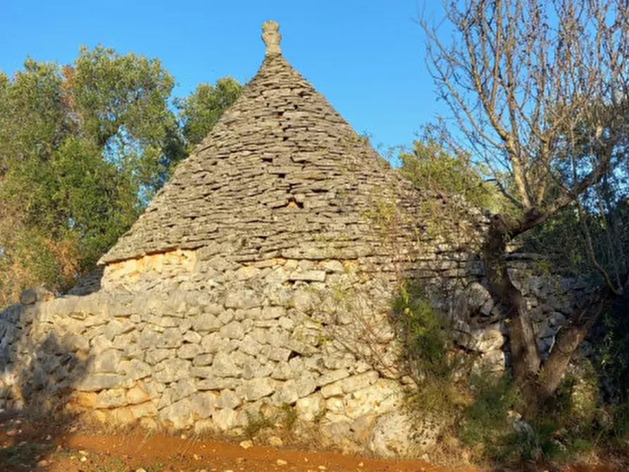 Immagine 9 di Rustico / casale in vendita  in C.da Barone a Ceglie Messapico