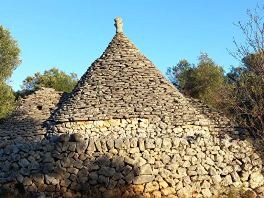 Immagine 10 di Rustico / casale in vendita  in C.da Barone a Ceglie Messapico