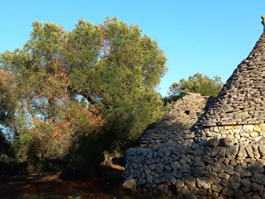 Immagine 11 di Rustico / casale in vendita  in C.da Barone a Ceglie Messapico