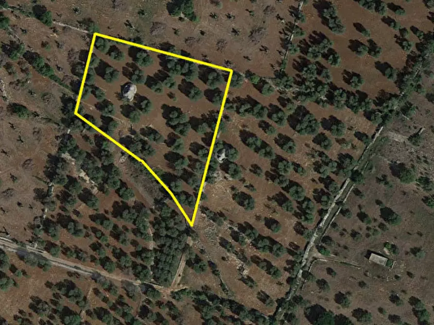 Immagine 12 di Rustico / casale in vendita  in C.da Barone a Ceglie Messapico