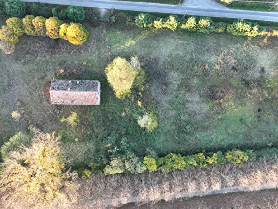 Immagine 5 di Casa quadrifamiliare in vendita  in via ronchi a San Pietro Viminario