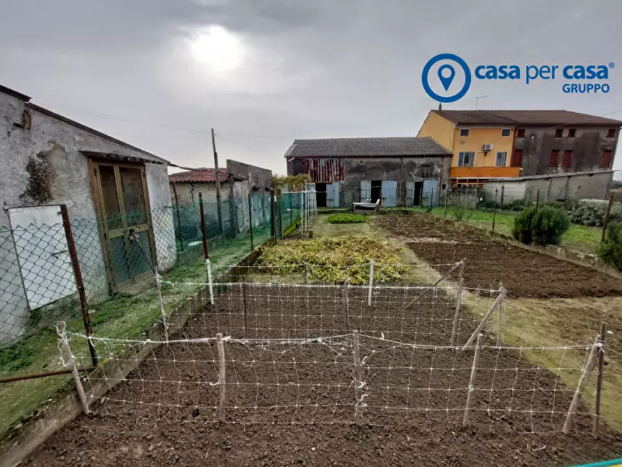 Immagine 30 di Casa indipendente in vendita  in Papozze, Via Eridania a Papozze