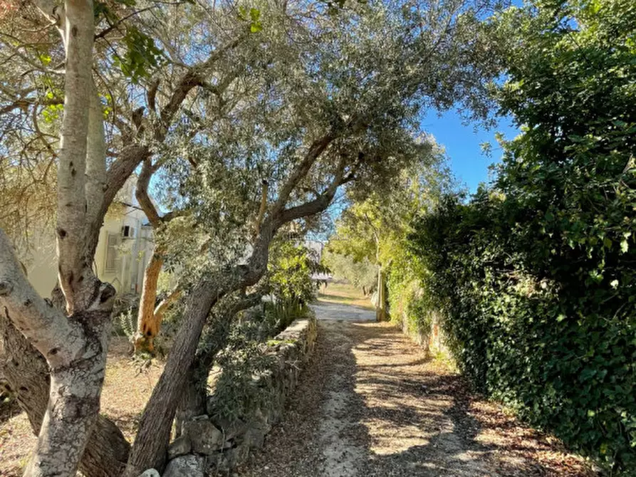Immagine 9 di Casa indipendente in vendita  in Via Trapani Rocciola a Modica