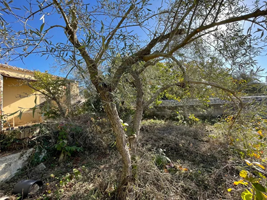Immagine 29 di Casa indipendente in vendita  in Via Trapani Rocciola a Modica