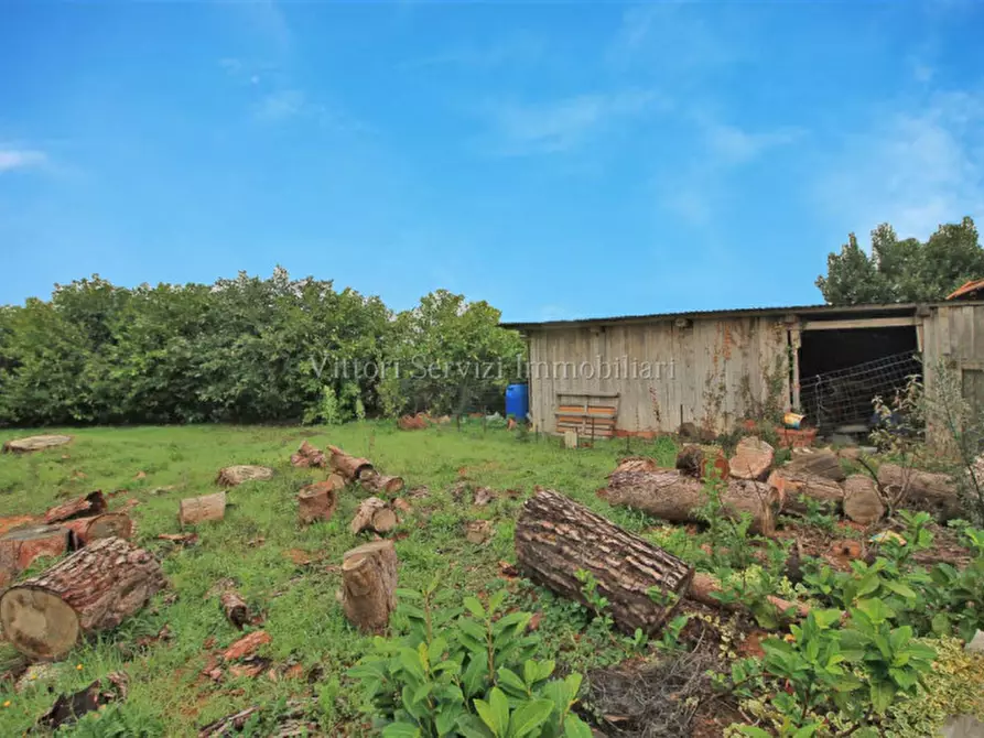 Immagine 22 di Casa indipendente in vendita  in via Basilicata a Torrita Di Siena