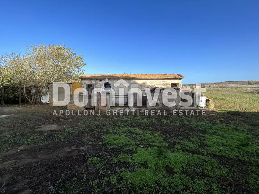 Immagine 11 di Villa in vendita  in Cava del Gesso a Capalbio