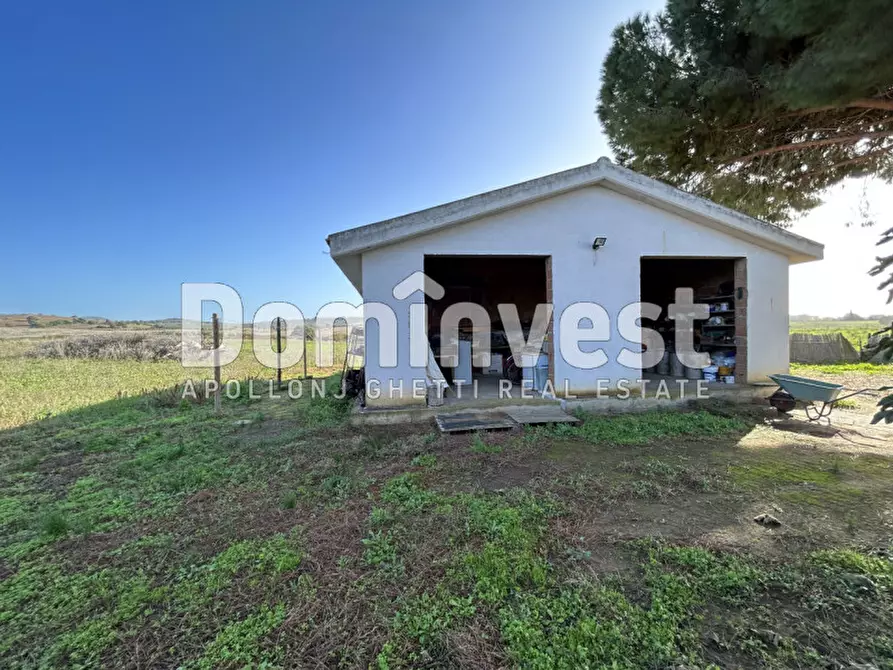 Immagine 12 di Villa in vendita  in Cava del Gesso a Capalbio