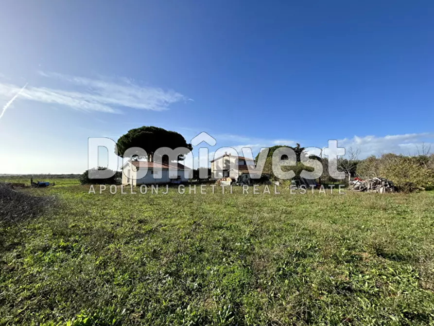 Immagine 13 di Villa in vendita  in Cava del Gesso a Capalbio