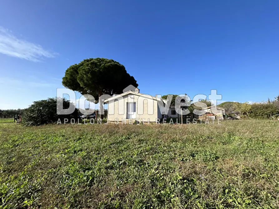 Immagine 15 di Villa in vendita  in Cava del Gesso a Capalbio