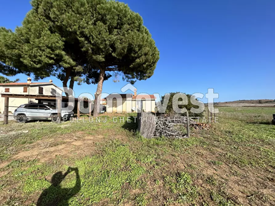 Immagine 16 di Villa in vendita  in Cava del Gesso a Capalbio