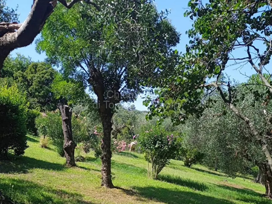 Immagine 8 di Villa in vendita  in roncosambaccio a Fano