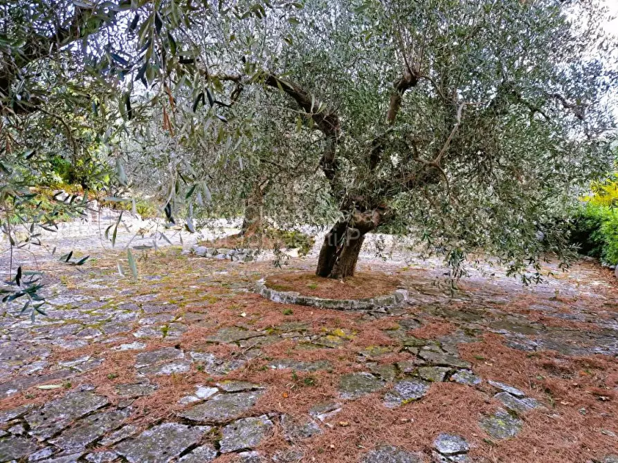 Immagine 20 di Villa in vendita  in roncosambaccio a Fano