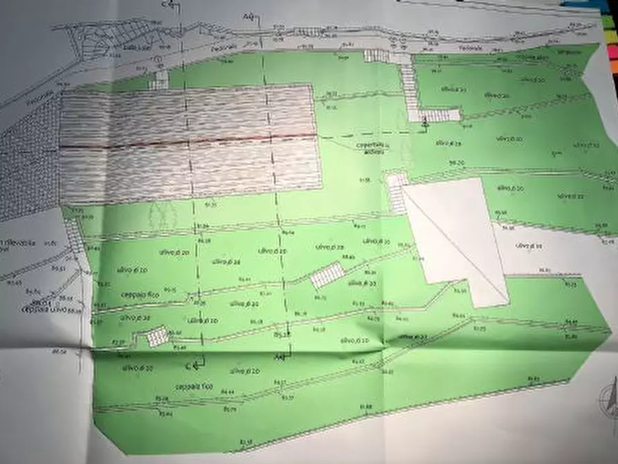 Immagine 3 di Rustico / casale in vendita  in Via vecchia chiesa di Bana a Camogli