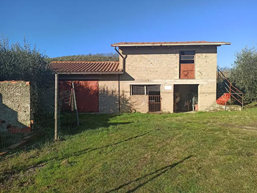 Immagine 2 di Terreno in vendita  a Piegaro