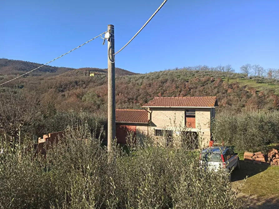 Immagine 3 di Terreno in vendita  a Piegaro