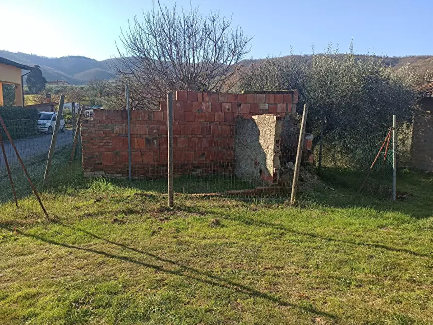 Immagine 4 di Terreno in vendita  a Piegaro