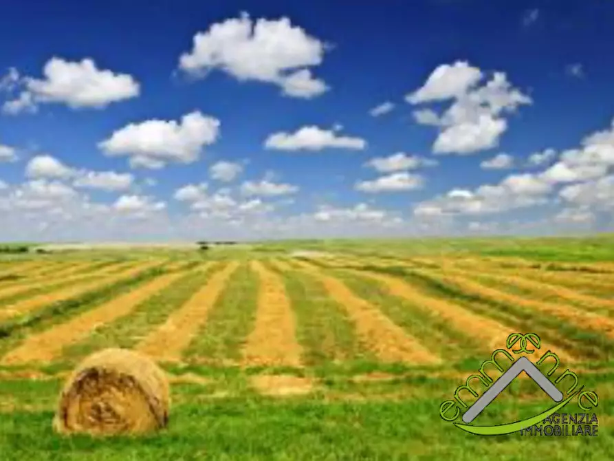 Immagine 3 di Terreno in vendita  a Piove Di Sacco