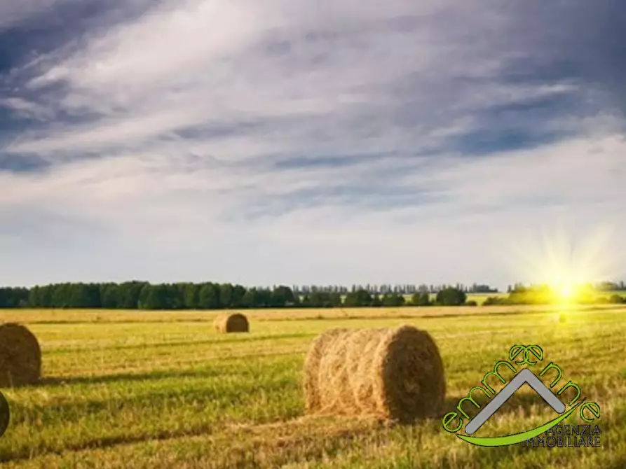 Immagine 4 di Terreno in vendita  a Piove Di Sacco
